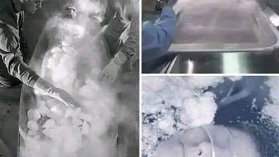 حكاية الفتاة المجمدة 