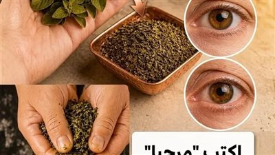 النبات المعجزة