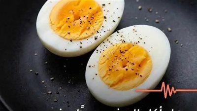 هل اكل البيض يوميا يرفع الكوليسترول