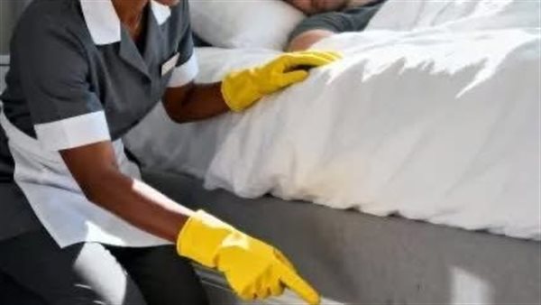 لمحة نيوز