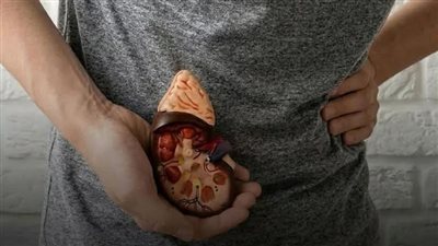 6 علامات مبكرة في جسدك تنذر بوجود حصوات في الكلي 