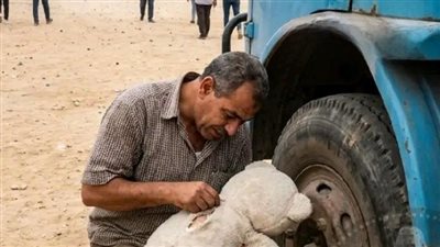 اشتريت دبدوب لبنتى