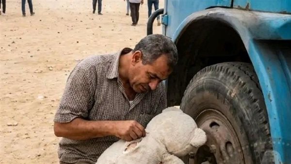 لمحة نيوز