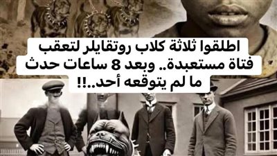 أطلقوا 3 كلاب روت وايلر لتعقّب فتاة… رجعت بعد 8 ساعات بشيء صاډم!