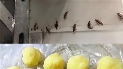 قم بوضع هذا الخليط في ركن المنزل