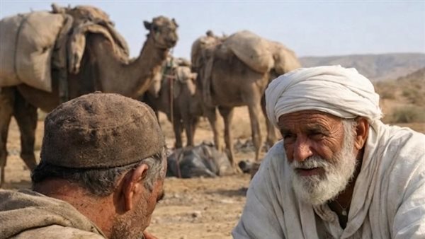 لمحة نيوز